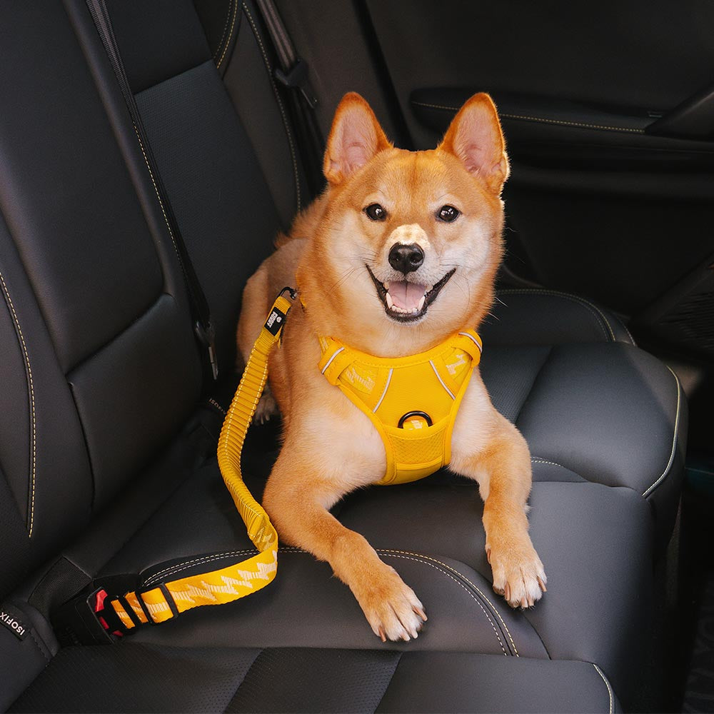Adjustable Pet Safety Harness Tether for Car Travel with Reflective Strap & Elastic Shock Absorber for Dogs