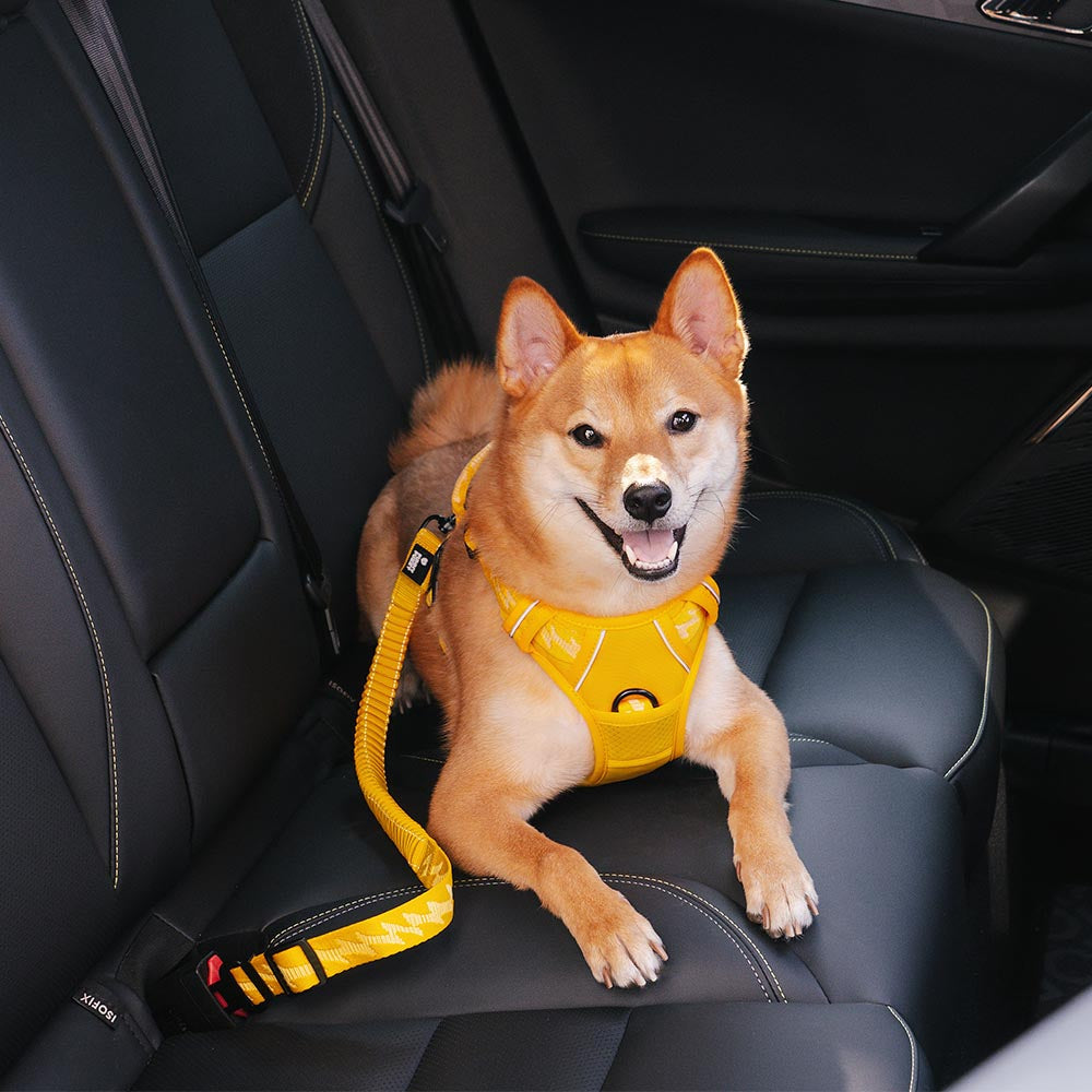 Adjustable Pet Safety Harness Tether for Car Travel with Reflective Strap & Elastic Shock Absorber for Dogs