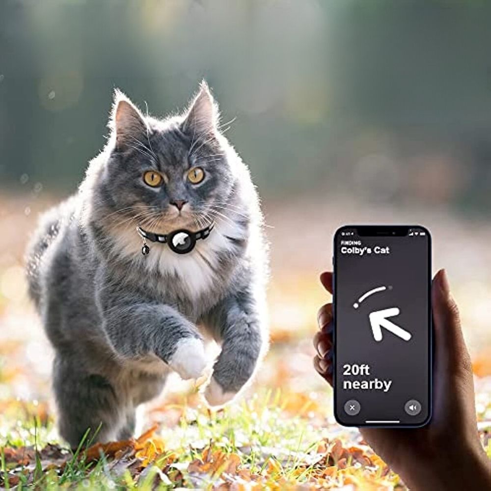 Adjustable Cat Collar with Reflective Stitching, Breakaway Buckle & Tracker Pocket for Indoor Outdoor Cats