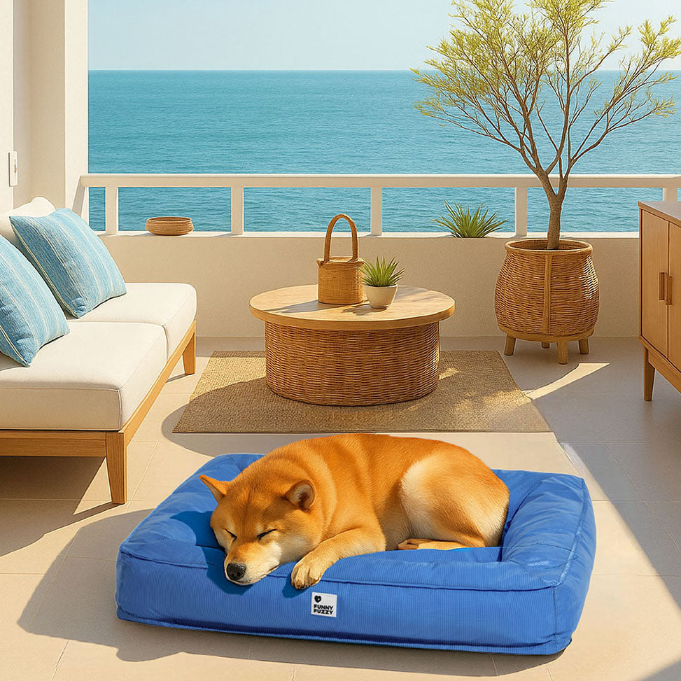 Cama para perro con bordes elevados, espuma para alivio articular y funda impermeable para razas grandes