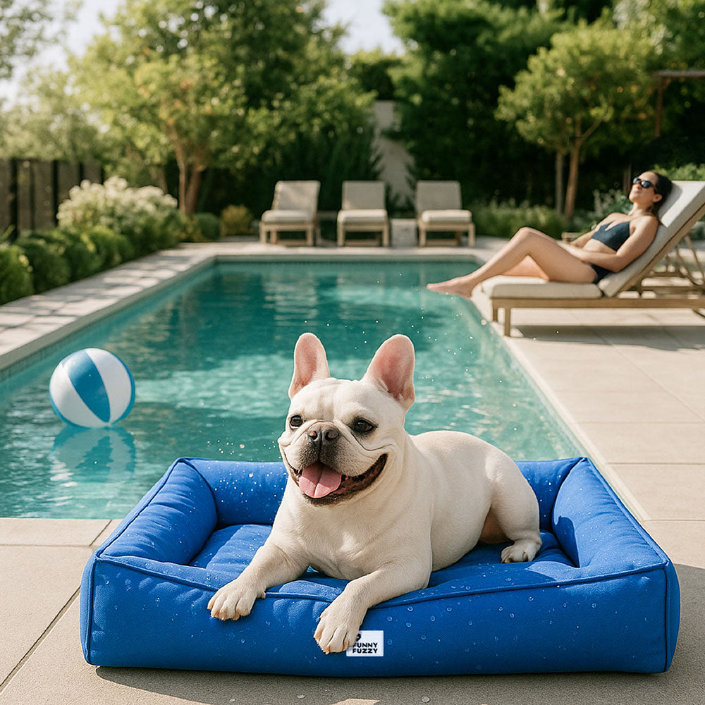 Cama para perro con bordes elevados, espuma para alivio articular y funda impermeable para razas grandes