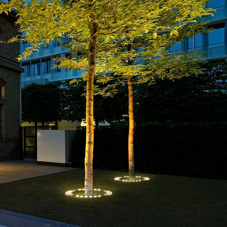 Outdoor LED Landscape Spotlight for Trees & Gardens | Aluminum Ground Light with Warm Glow | Pathway Accent Lighting | Weatherproof Garden U | Thomler