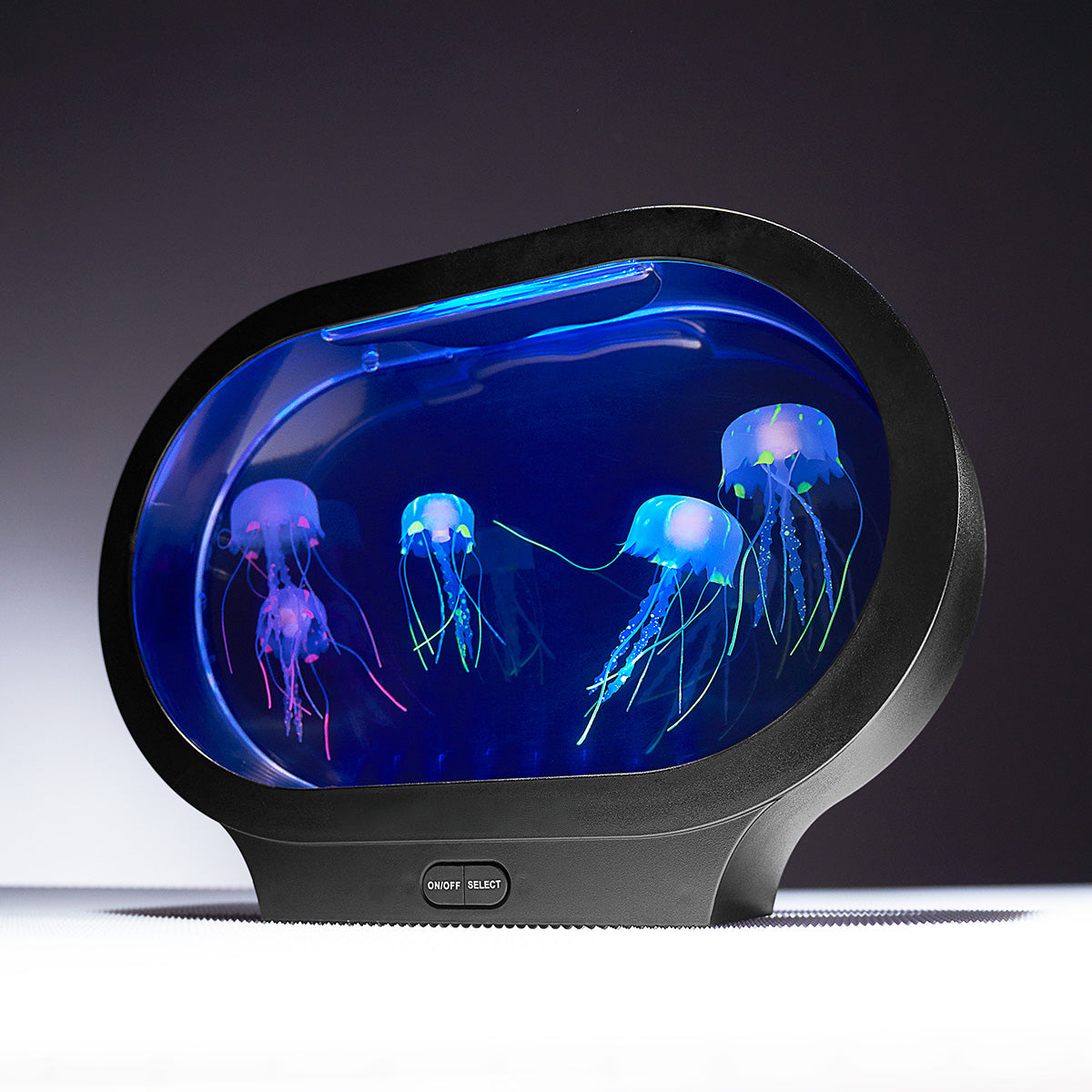 Fantasie-kwallenaquarium