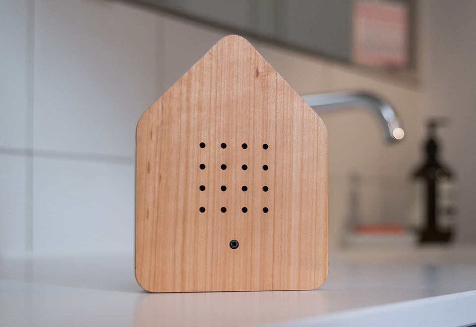Caja con canto de pájaro