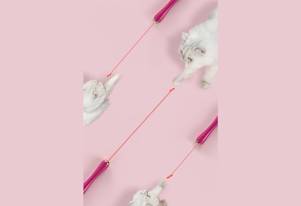 10-in-1 Extendable Cat Laser and Teaser
