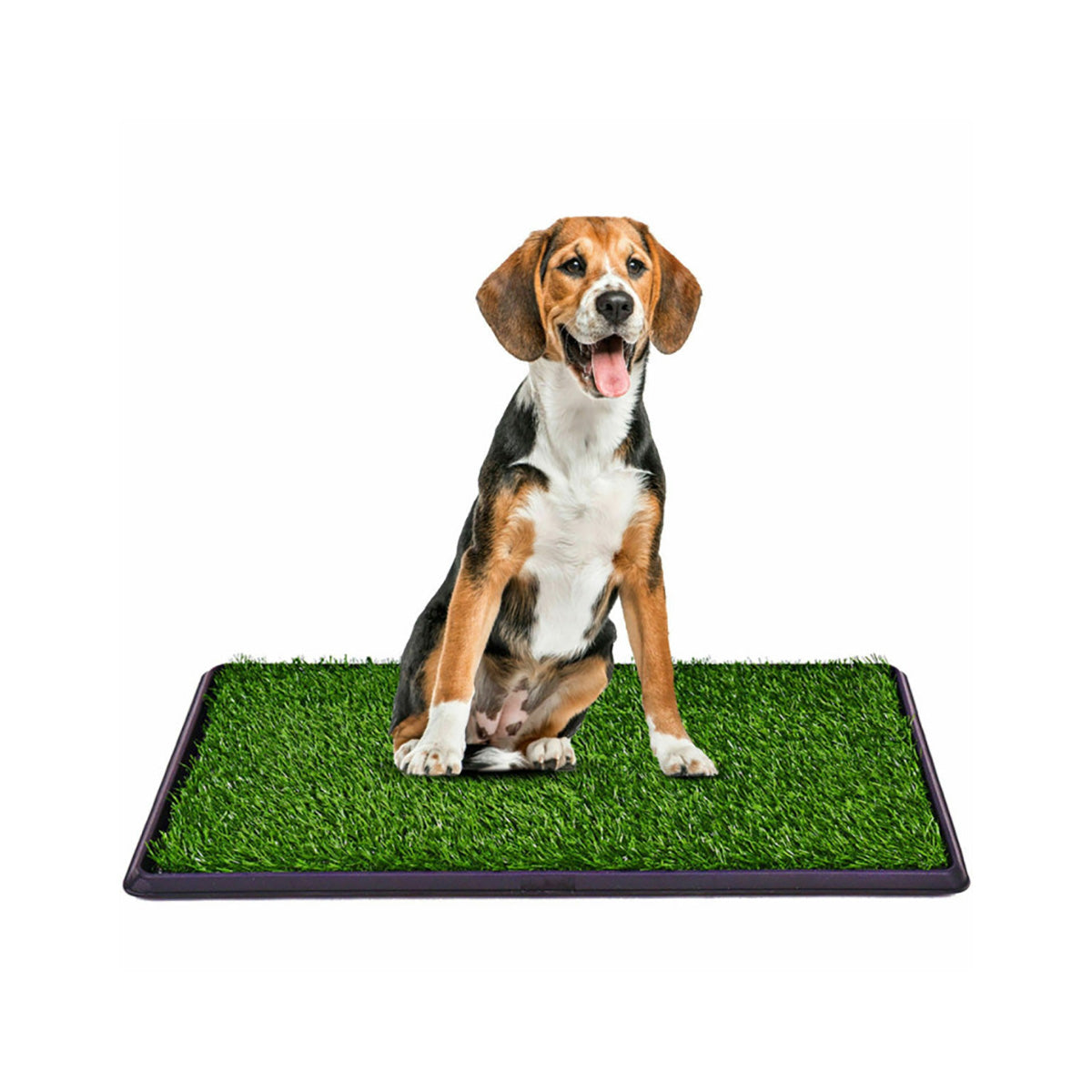 Kunstgras toilet voor puppy's