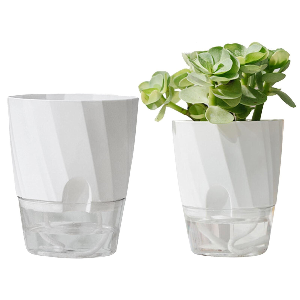 Zelfbewaterende plantenbak
