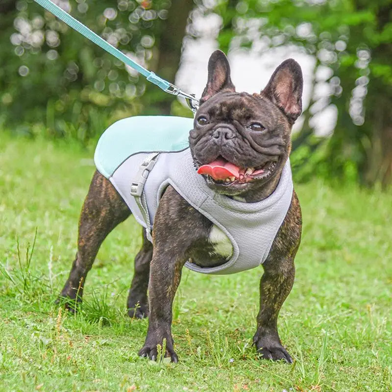 Dog Cooling Vest for Outdoor Activities