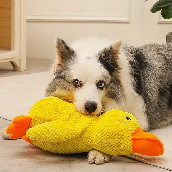Juguete de pato calmante y duradero para perros