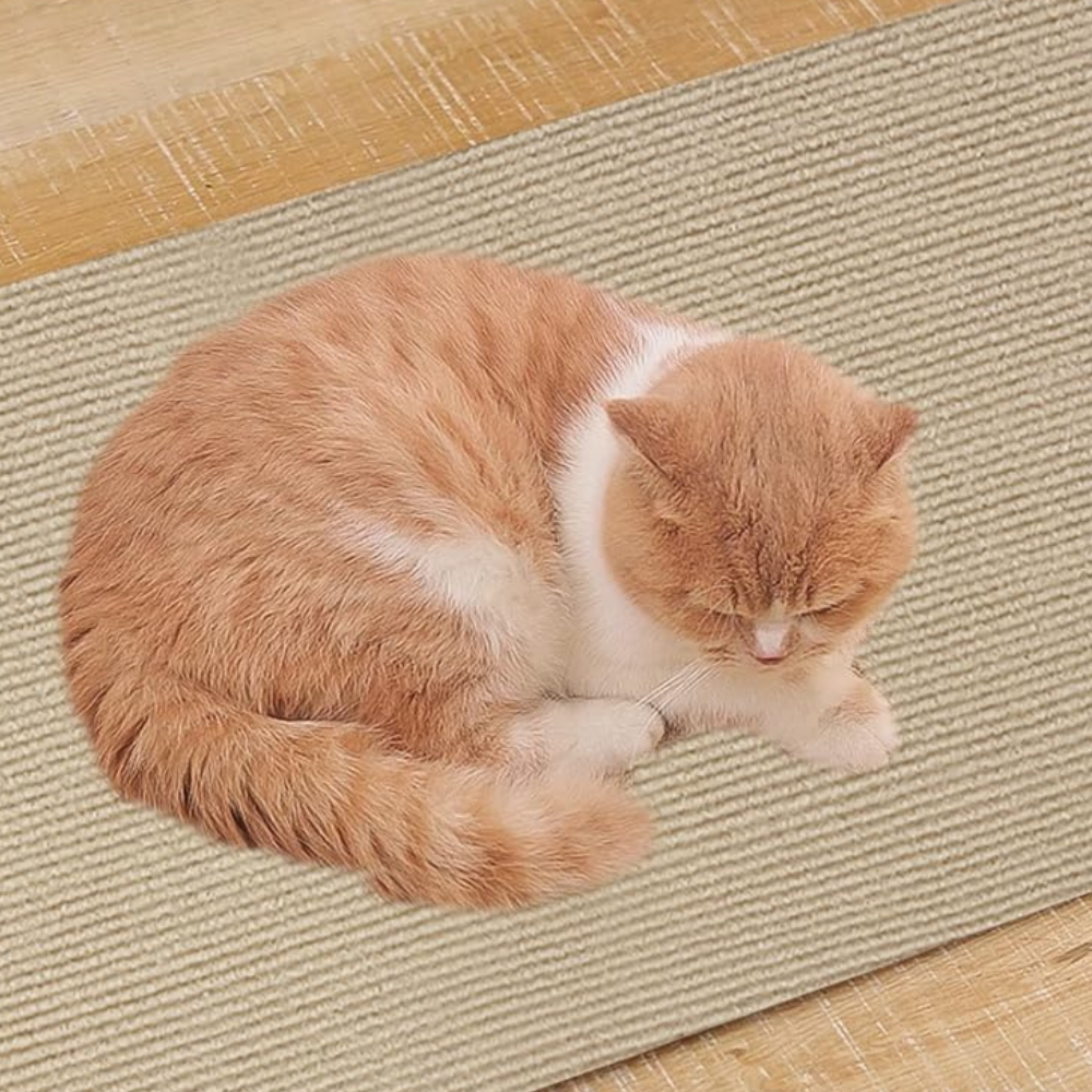 Cat Scratch Couch Guard Protector Carpet Mat