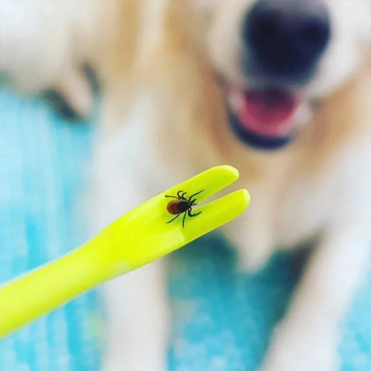 Dispositivo para quitar garrapatas para perros y mascotas