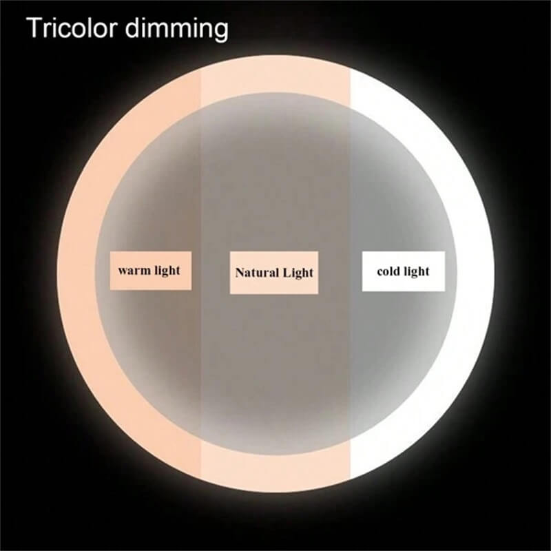 Rechargeable Lighted Vanity Mirror 16 Inch Round Tabletop Mirror with Adjustable LED Brightness Dimmable 360 Rotation for Makeup Skincare Be | Thomler