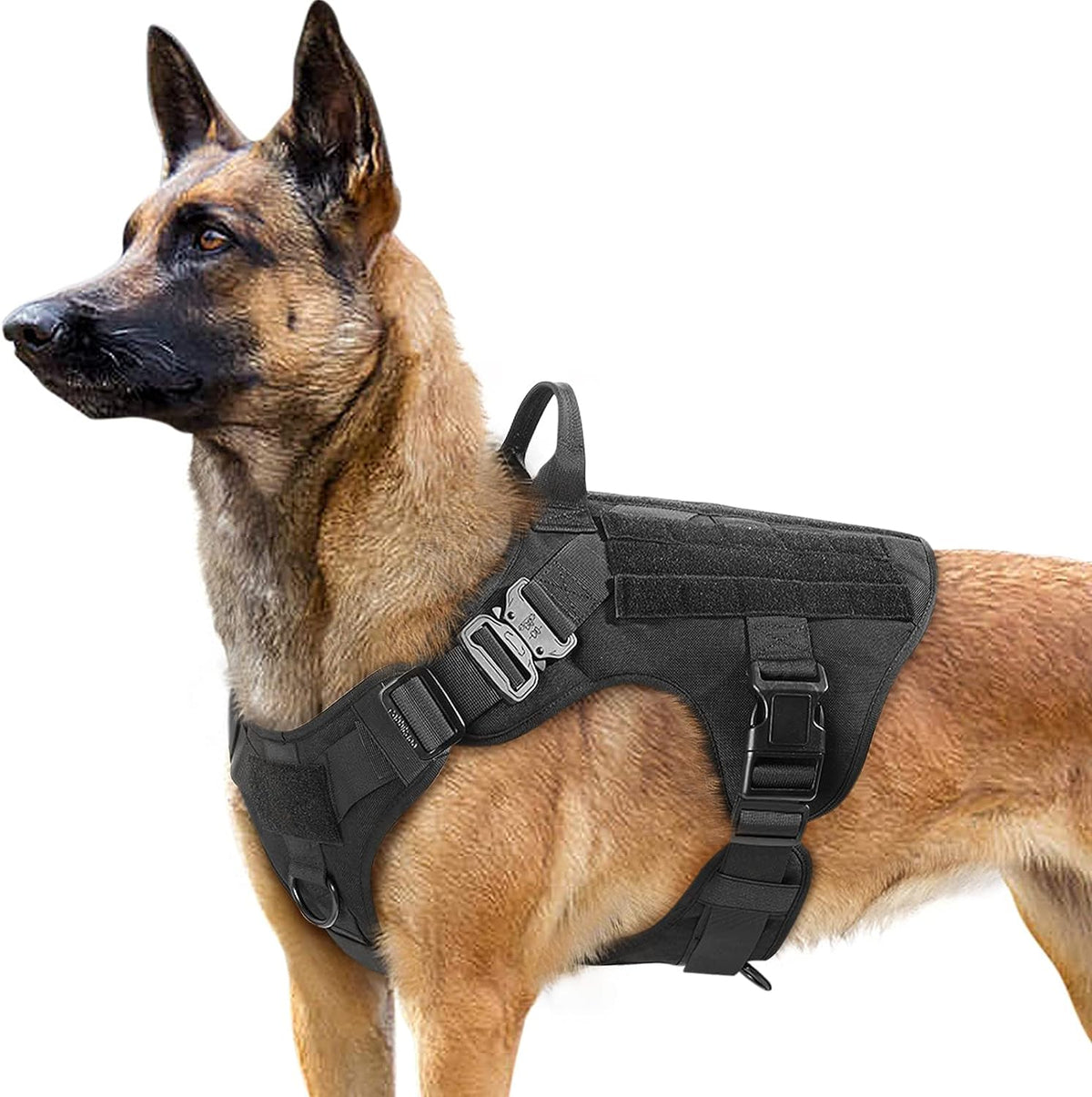Taktisches Hundegeschirr ohne Ziehen