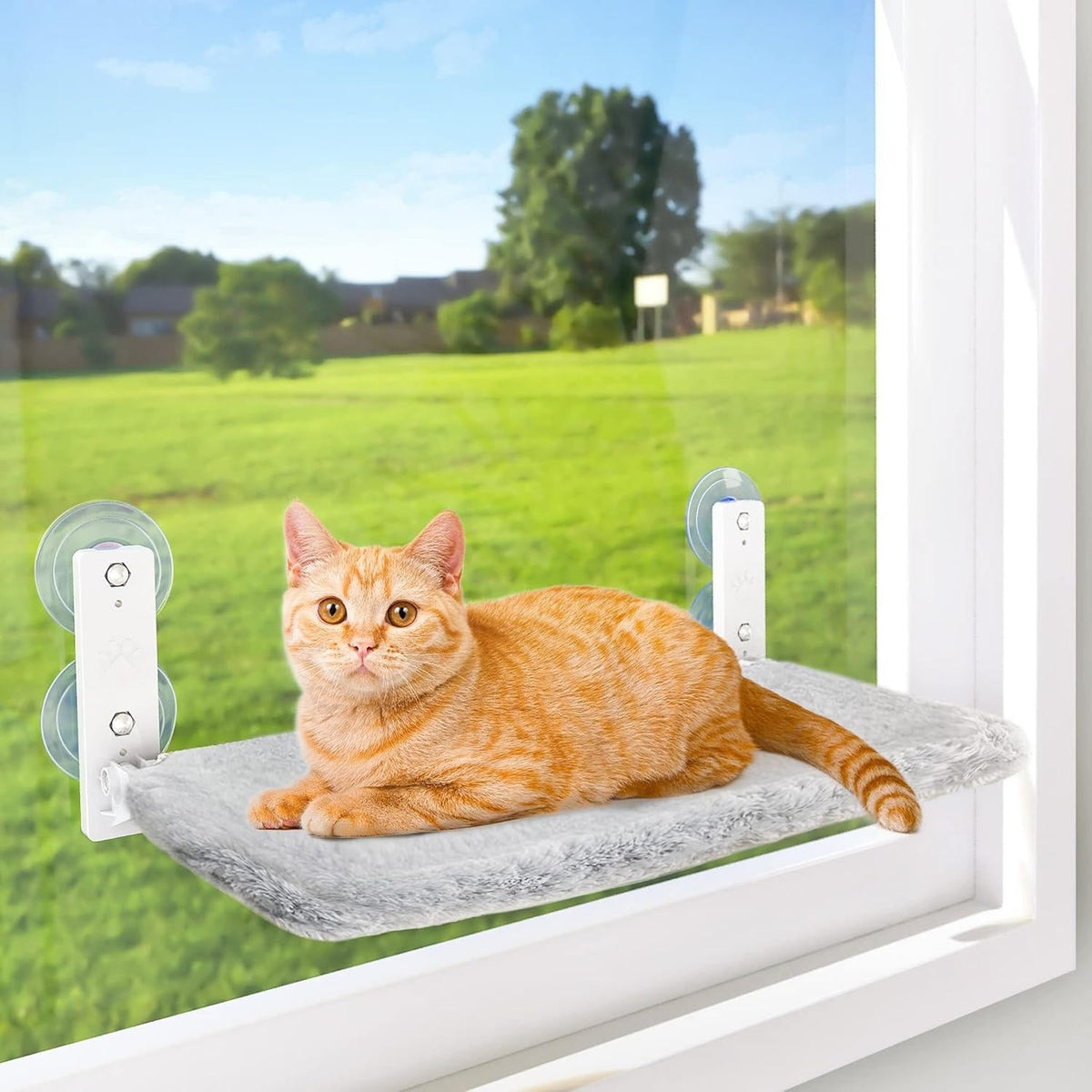 Cat Hammock Window