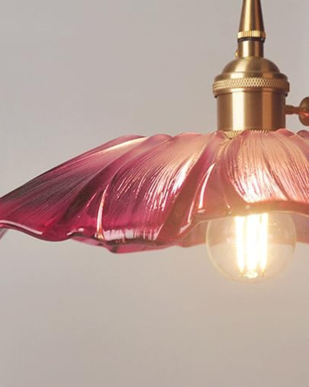 Glass Pendant Light with Brass Socket and Organic Petal Shape for Dining Room and Living Space | Thomler