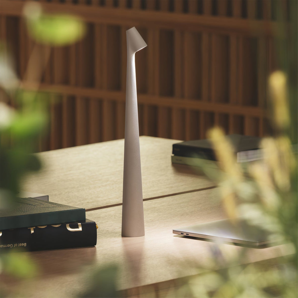 Cordless LED Desk Lamp Rechargeable Touch Control Metal Modern Portable Reading Light 18-Inch Accent Lighting for Home Office Bedroom Nights | Thomler
