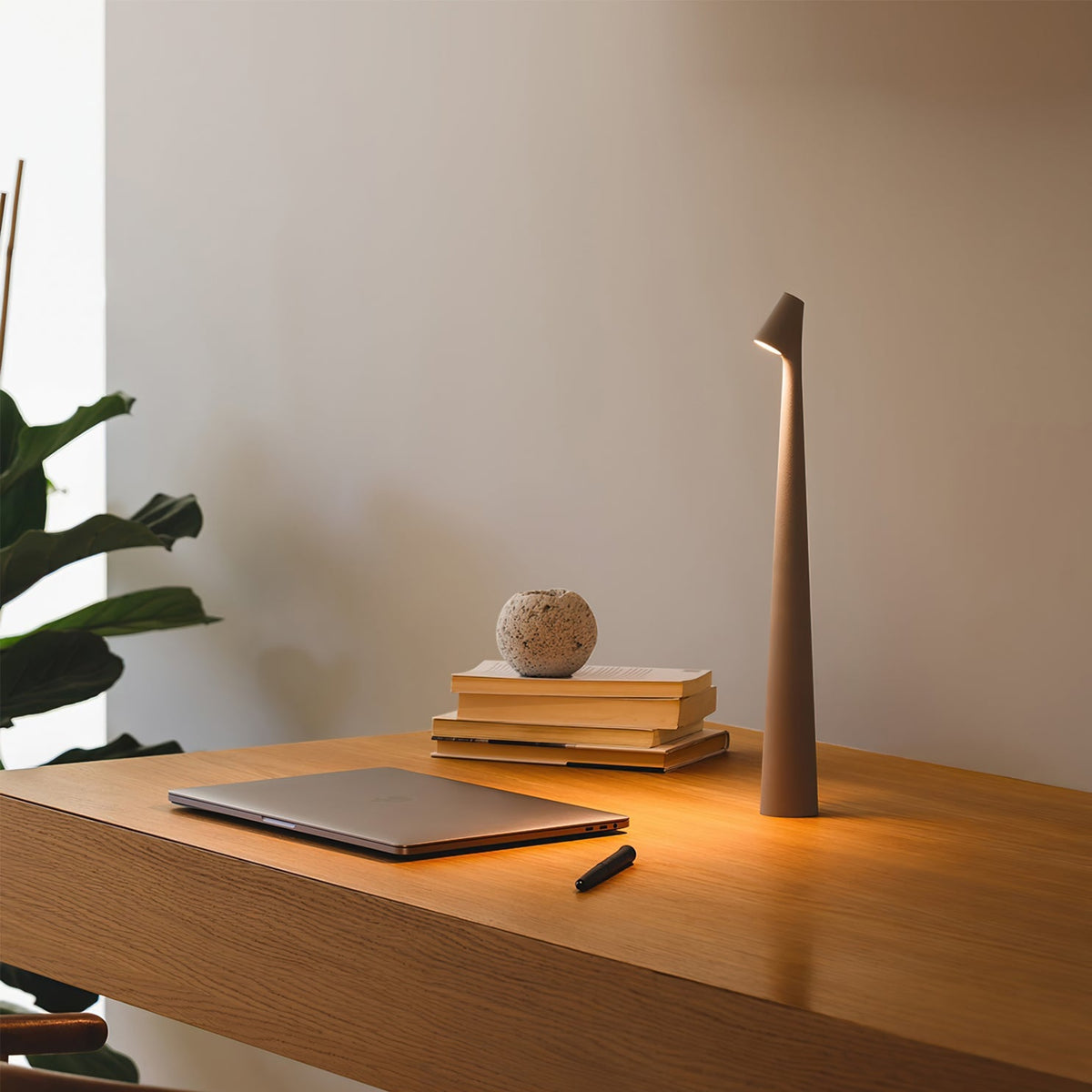 Cordless LED Desk Lamp Rechargeable Touch Control Metal Modern Portable Reading Light 18-Inch Accent Lighting for Home Office Bedroom Nights | Thomler