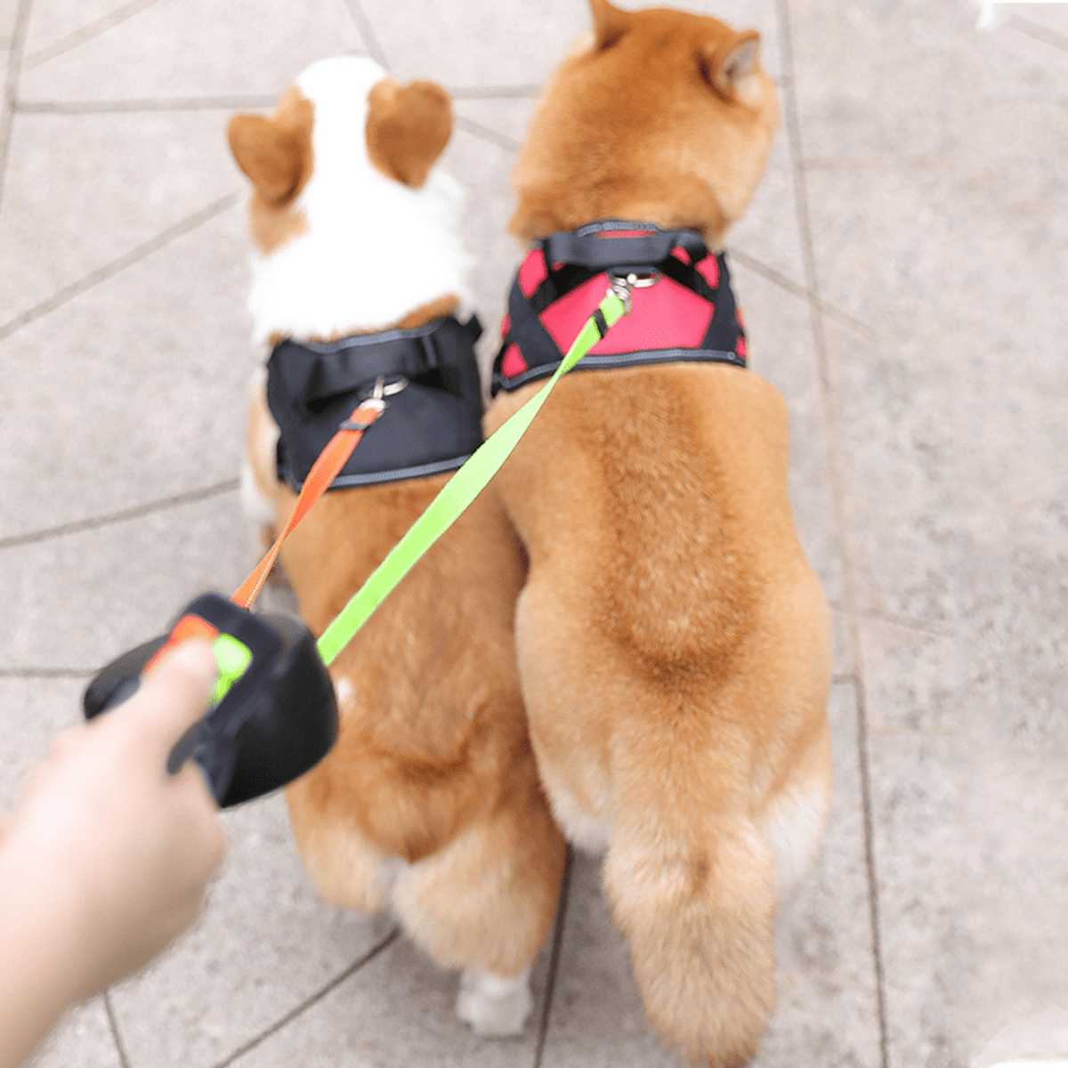 Dual Retractable Dog Leash with Built-In Flashlight for Two Dogs Up to 88 lbs Each – Tangle-Free 360° Swivel Design & One-Handed Control