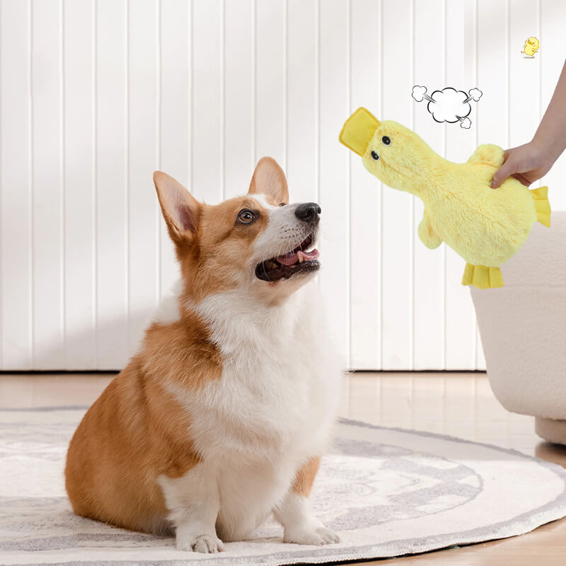 Squeaky Plush Duck Dog Toy – Soft Chew Toy for Small & Large Dogs, Interactive Pet Plaything with Sound for Puppies & Adult Canines