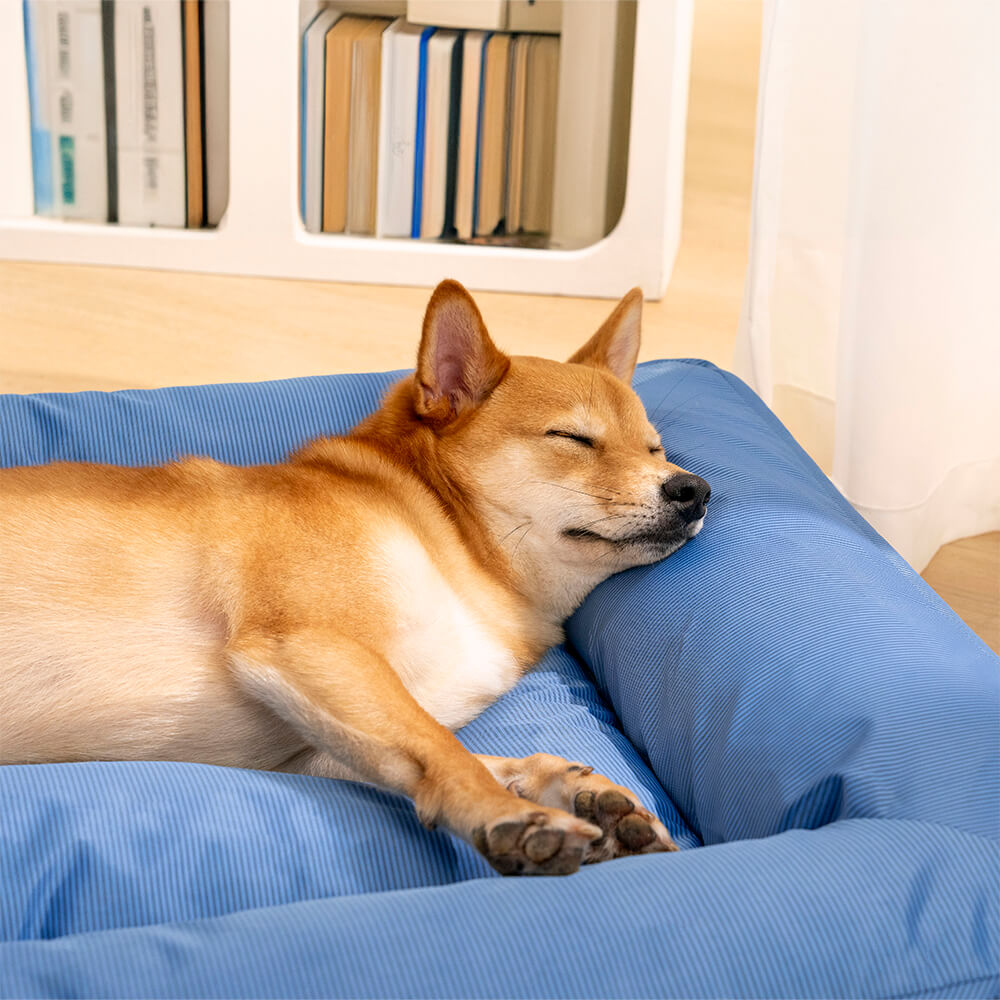 Cama para perro con bordes elevados, espuma para alivio articular y funda impermeable para razas grandes