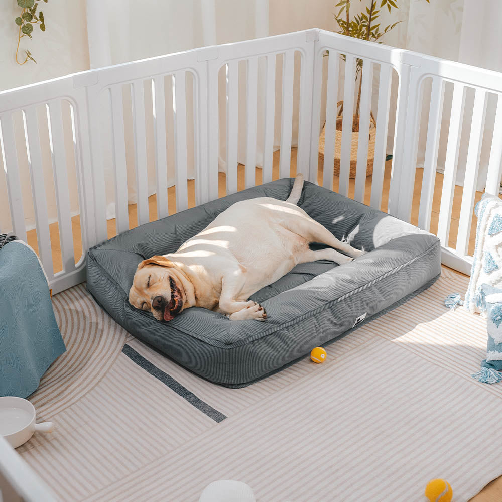 Cama para perro con bordes elevados, espuma para alivio articular y funda impermeable para razas grandes