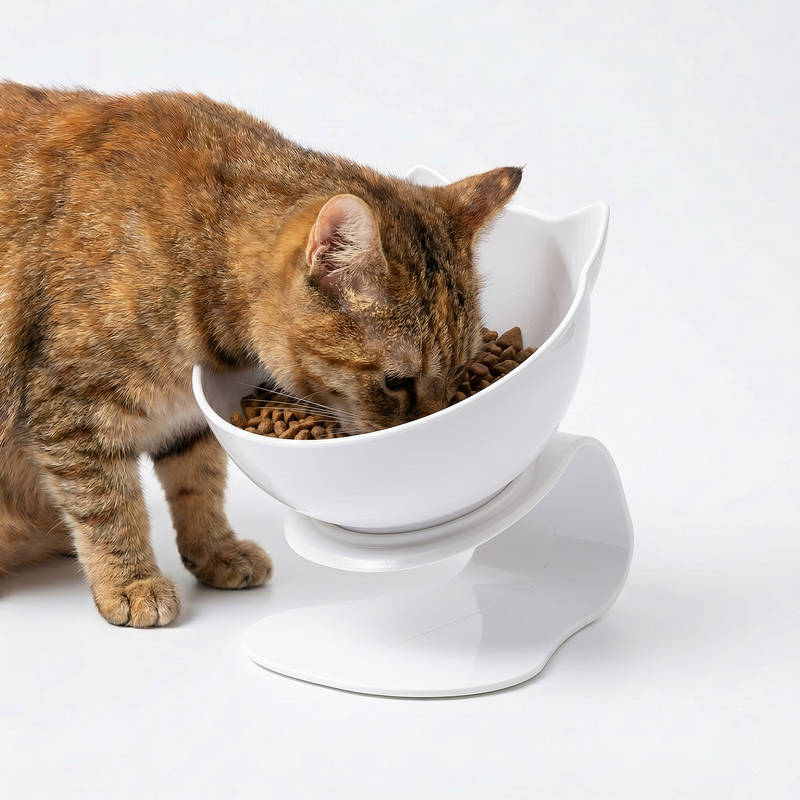 Anti-braak kattenbak verhoogd, orthopedische voerbak voor katten vermindert braken gezond eten