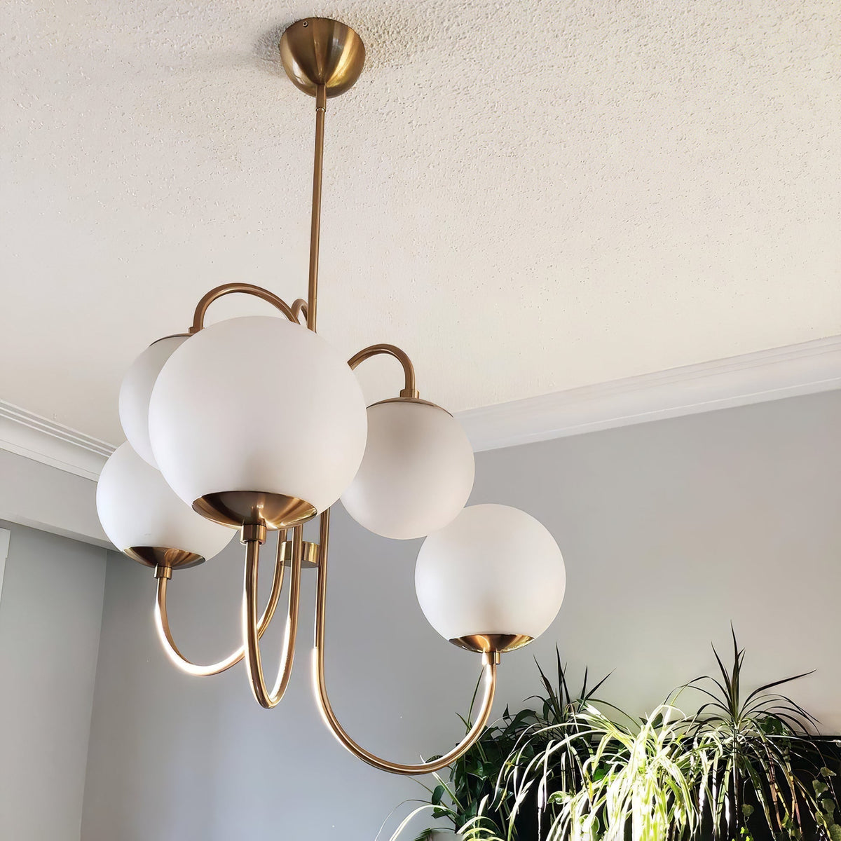 Lámpara de techo de varios brazos, marco de metal, pantallas de vidrio esmerilado, oro, negro, blanco, 30 pulgadas de diámetro, para sala de estar, comedor, dormitorio, luz superior | Thomler