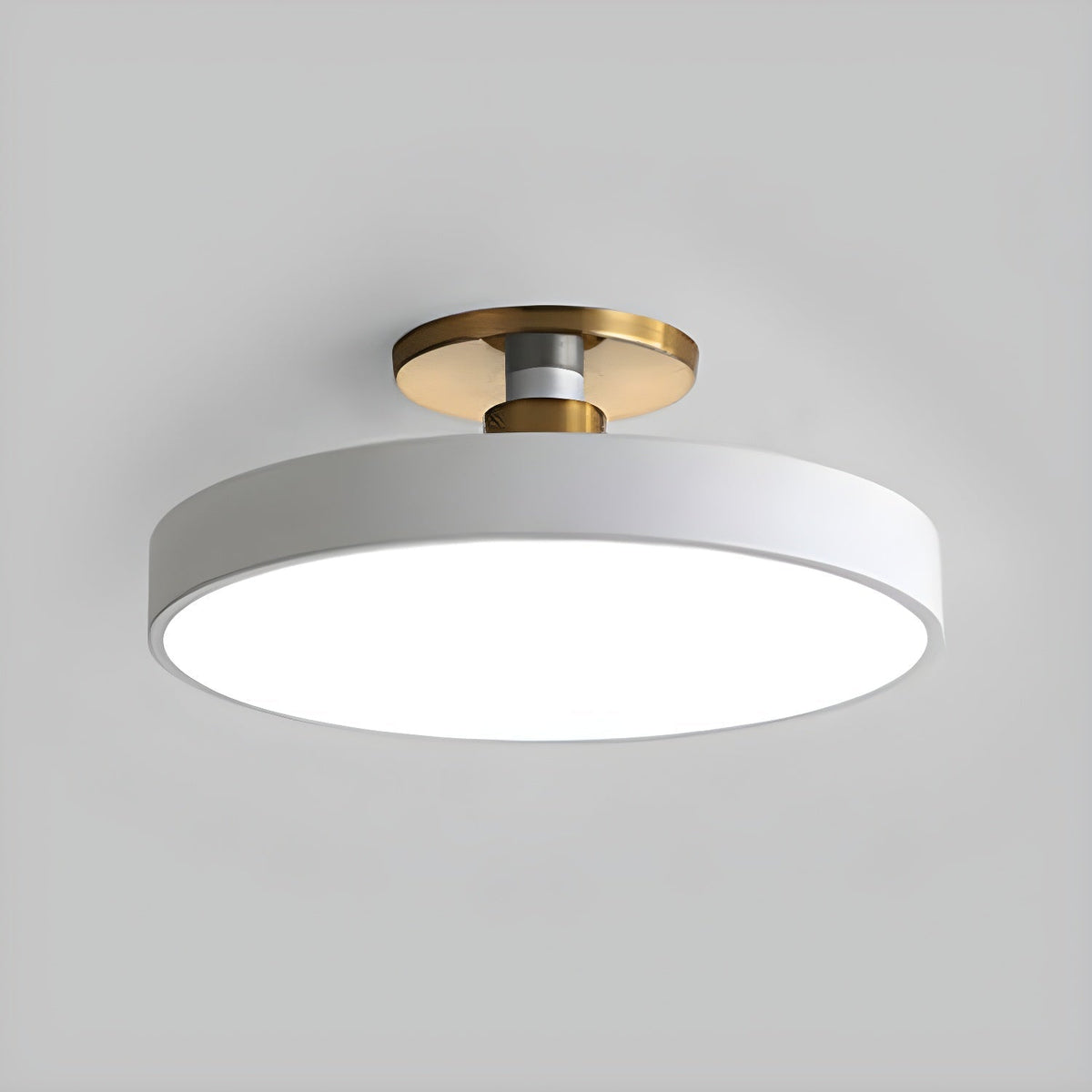 Lámpara de techo LED de 12 pulgadas, redonda, regulable, de bajo perfil para dormitorio, cocina, oficina, hogar, acrílico moderno | Thomler