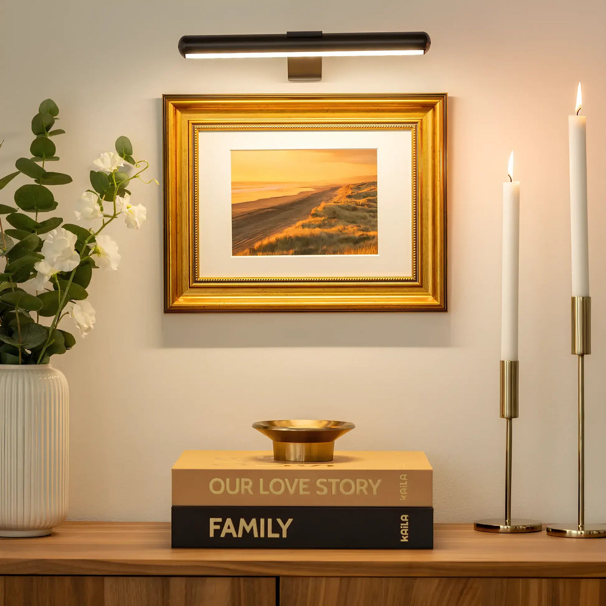 Rechargeable Picture Light LED Wall Mount Clip-On Art Accent Lamp with 360° Rotating Head Adjustable Brightness for Paintings Frames Gallery | Thomler
