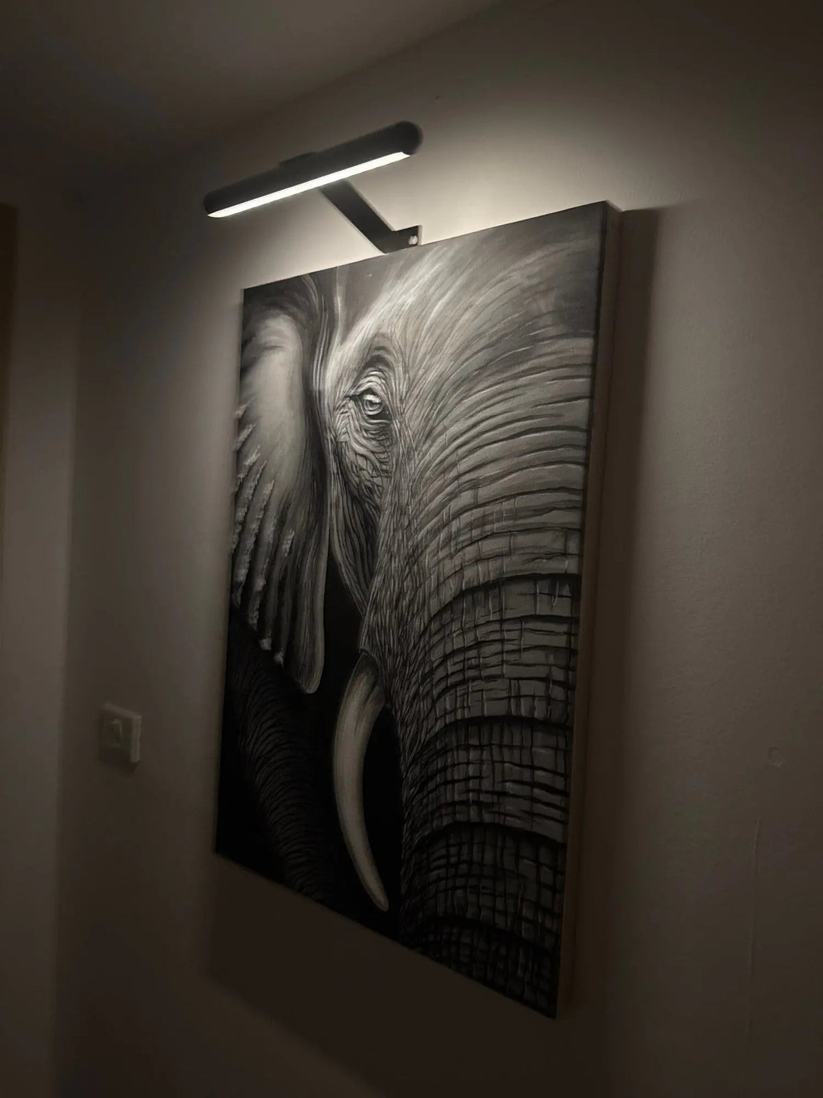 Rechargeable Picture Light LED Wall Mount Clip-On Art Accent Lamp with 360° Rotating Head Adjustable Brightness for Paintings Frames Gallery | Thomler