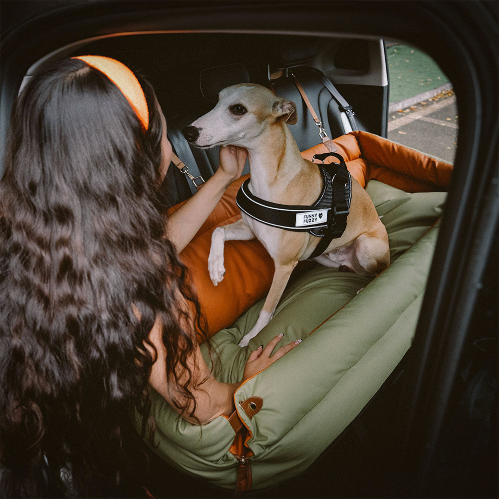 Elevated Pet Car Seat with Cushioned Bolsters for Medium to Large Dogs – Faux Leather Travel Booster Bed for SUVs & Sedans