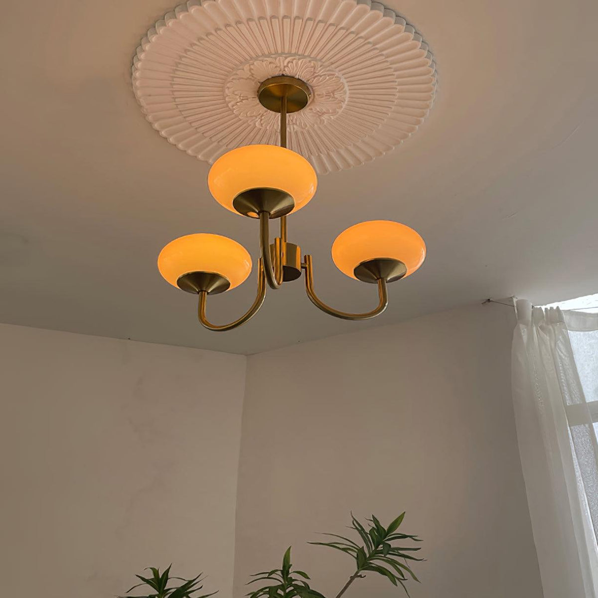 Multi-Globe Suspended Fixture Iron & Tinted Glass Shades E27 Socket for Kitchen Island Dining Area Living Space Bedroom Overhead Illuminatio | Thomler