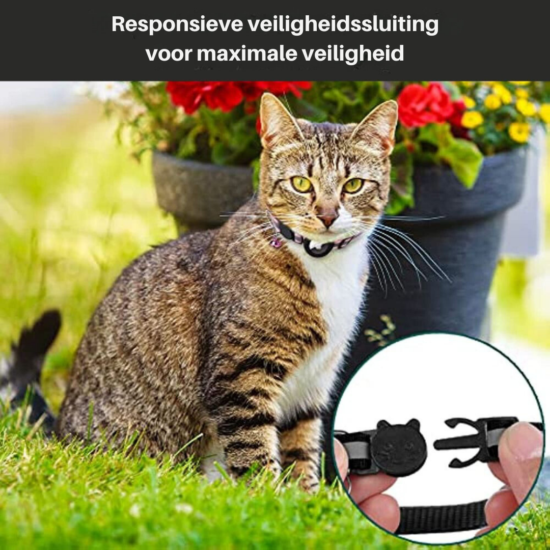 Adjustable Cat Collar with Reflective Stitching, Breakaway Buckle & Tracker Pocket for Indoor Outdoor Cats