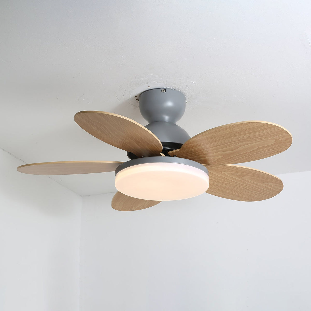 Ventilador de techo para interiores con luz LED, 35 pulgadas, aspas de madera con diseño curvo, 6 velocidades, control remoto, motor de CC para sala de estar, dormitorio, comedor, gris