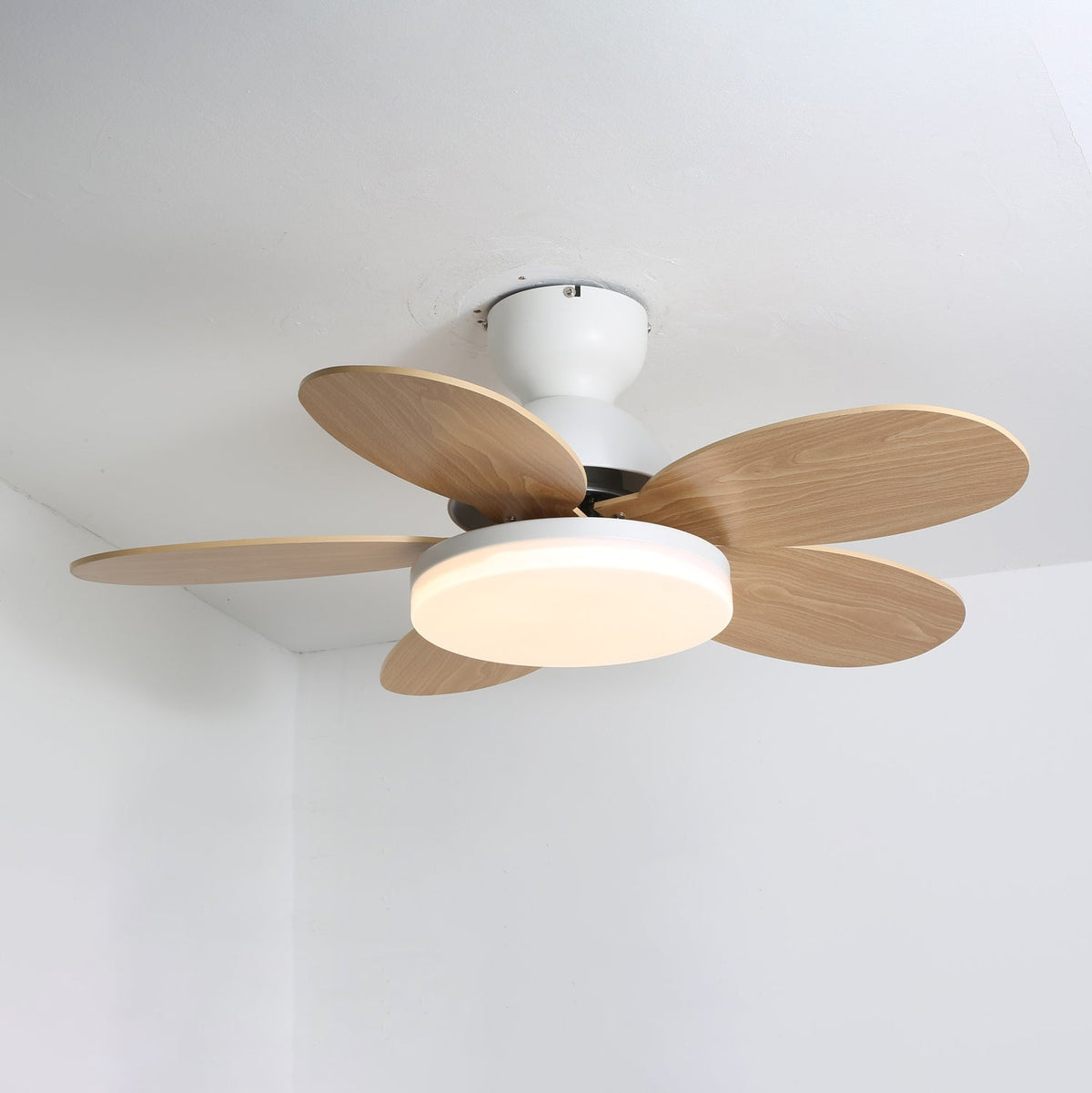 Ventilador de techo para interiores con luz LED, 35 pulgadas, aspas de madera con diseño curvo, 6 velocidades, control remoto, motor de CC para sala de estar, dormitorio, comedor, gris