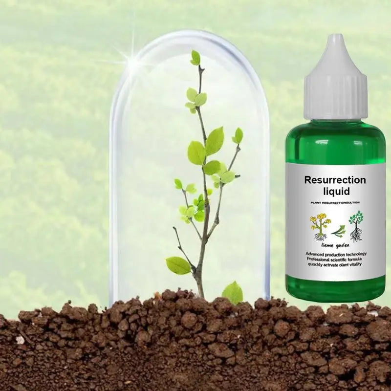 Liquid Plant Growth Booster for Stronger Roots & More Blooms – Indoor Outdoor Fertilizer for Houseplants Vegetables Herbs Succulents Fruit T | Thomler