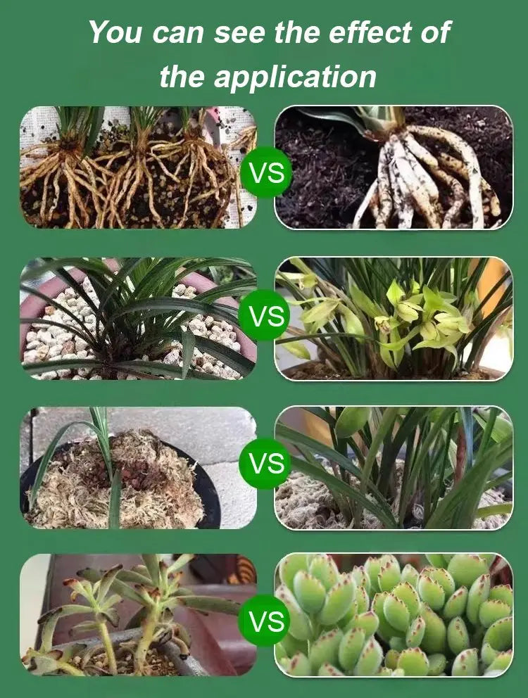 Liquid Plant Growth Booster for Stronger Roots & More Blooms – Indoor Outdoor Fertilizer for Houseplants Vegetables Herbs Succulents Fruit T | Thomler