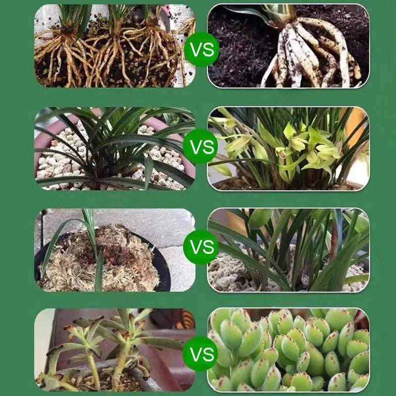 Liquid Plant Growth Booster for Stronger Roots & More Blooms – Indoor Outdoor Fertilizer for Houseplants Vegetables Herbs Succulents Fruit T | Thomler