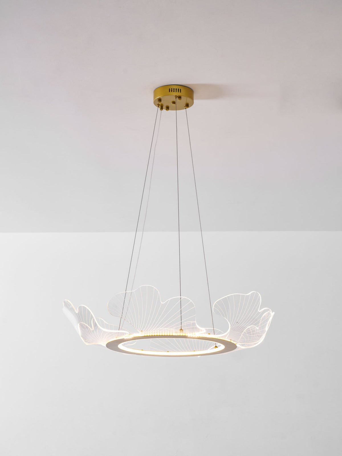 Lámpara colgante redonda con difusor de hojas acrílicas, 27 pulgadas, dorada, altura ajustable, LED para cocina, comedor, oficina, dormitorio, montaje empotrado moderno | Thomler