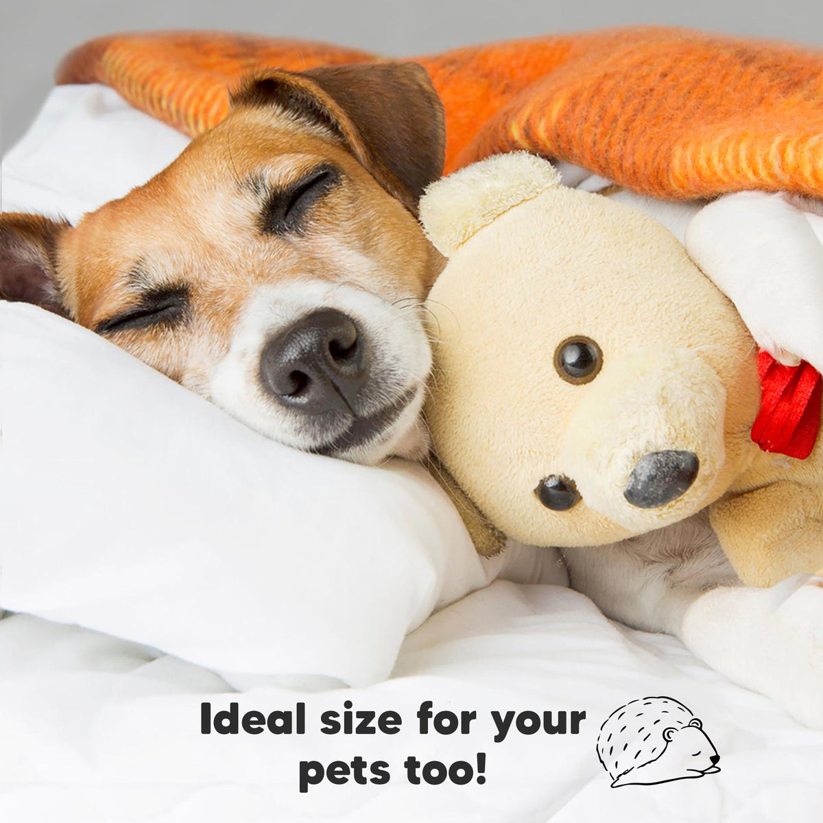 Toddler Pillow with Pillowcase