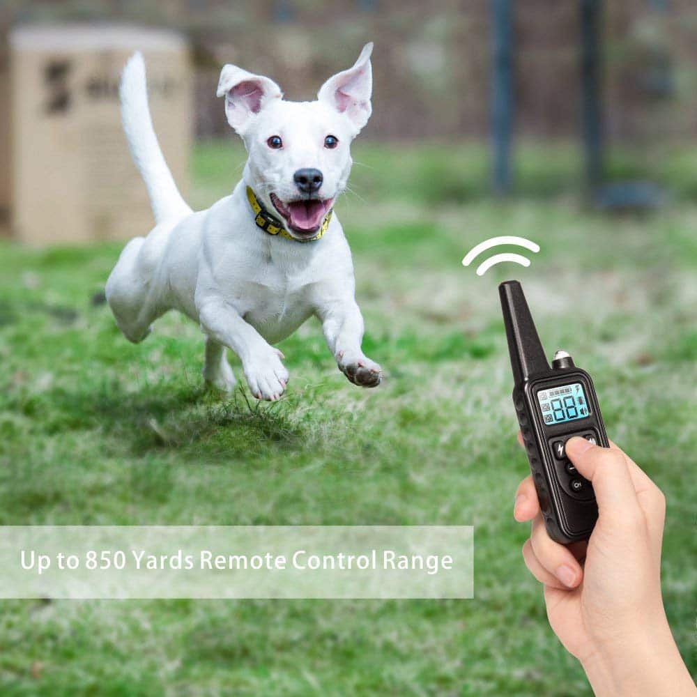 Collar de adiestramiento eléctrico para perros Alcance de 800m
