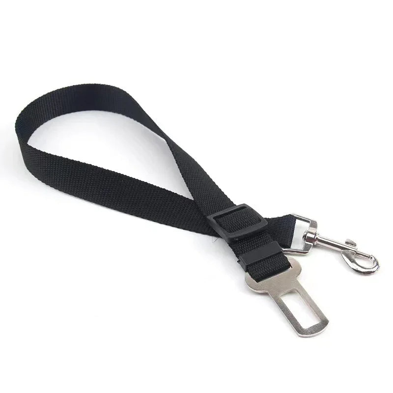 Cinturón de seguridad ajustable para perros