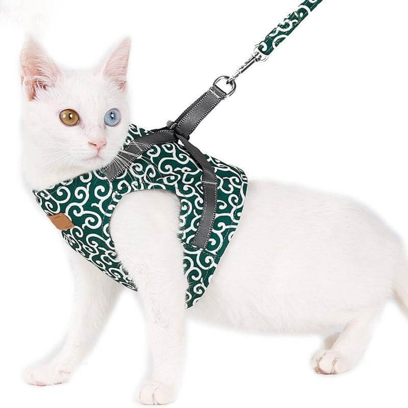Kattenharnas & Lijnset | Ademend Mesh Vest voor Buitenavonturen | Verstelbaar Anti-trekontwerp voor Katten & Kleine Honden