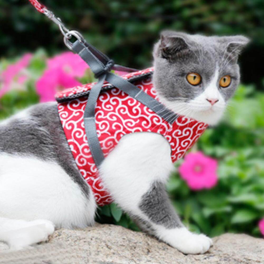 Cat Walking Harness & Leash Set | Breathable Mesh Vest Jacket for Outdoor Adventures | Adjustable No-Pull Design for Cats & Small Dogs