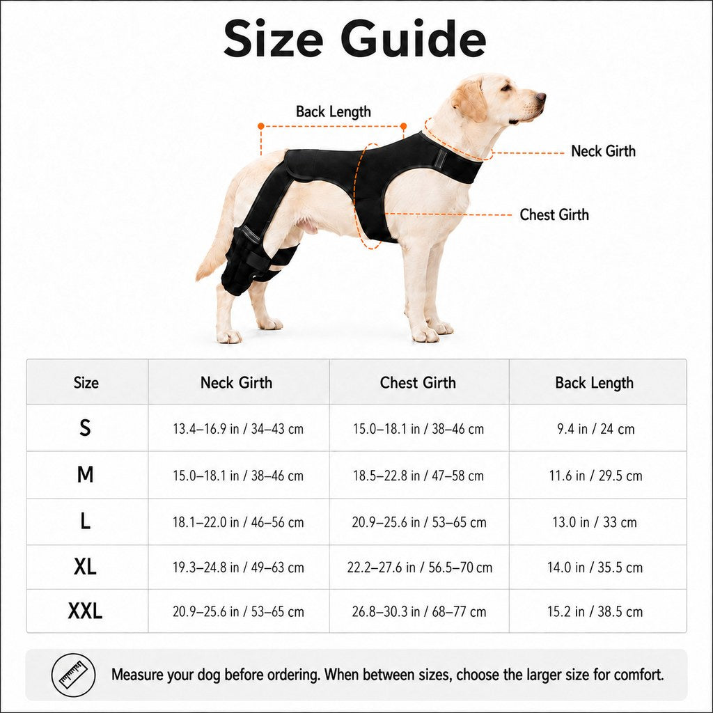 Soporte de apoyo para la pata trasera del perro: envoltura antideslizante para la estabilidad de las patas traseras para perros mayores, suelos de madera y paseos de recuperación