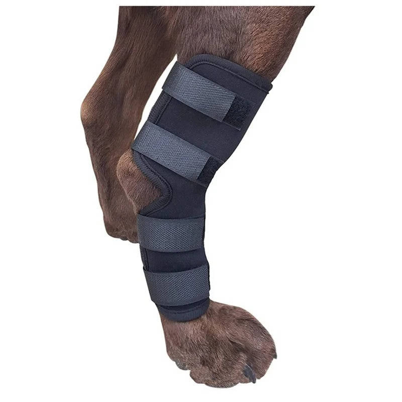 Ortesis ortopédicas para perros