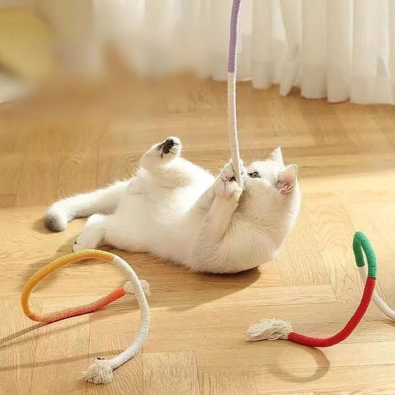 Cat Chew Toys