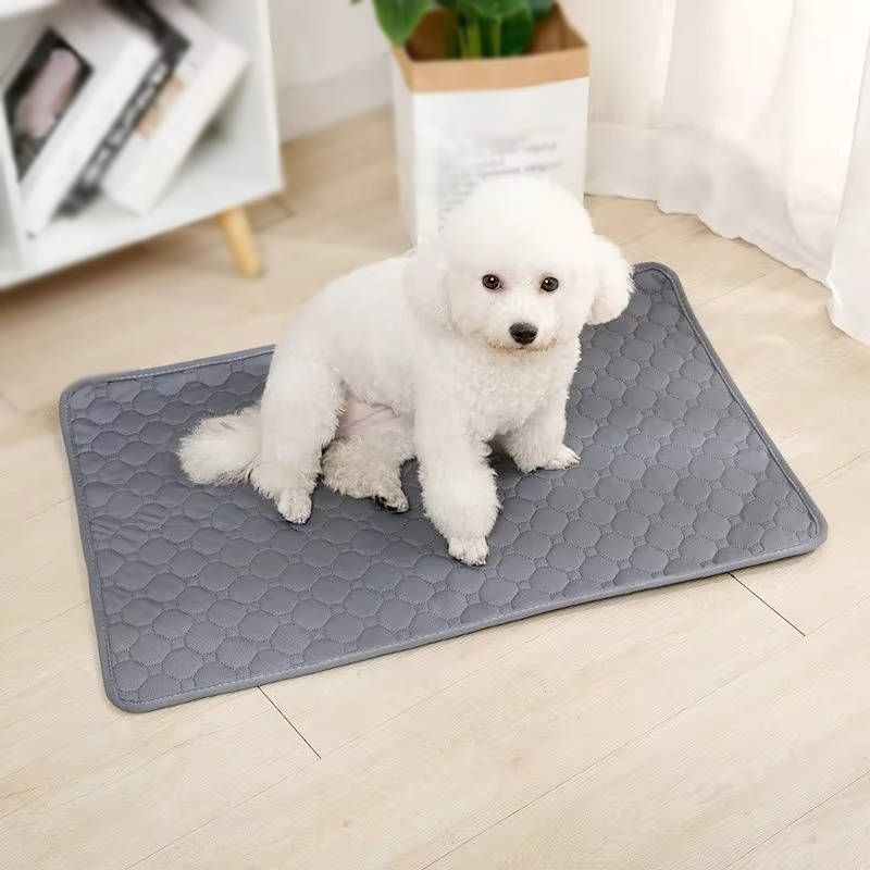Puppy-trainingsmatten wegwerp en herbruikbaar