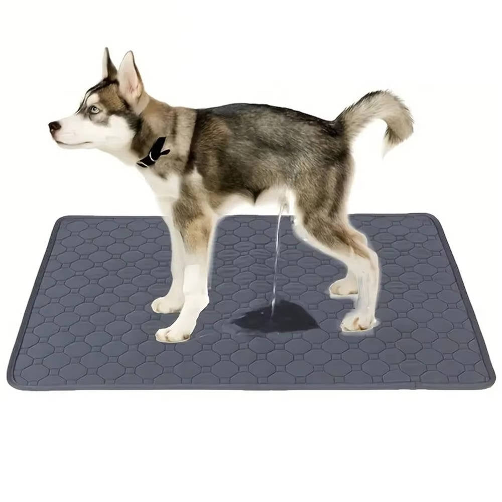 Puppy-trainingsmatten wegwerp en herbruikbaar