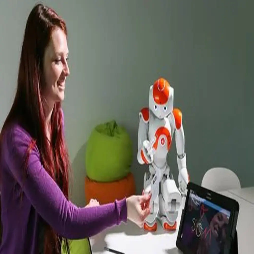 Intelligenter interaktiver RC-Roboter-Begleiter